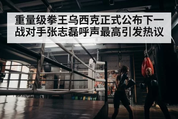 boxer training